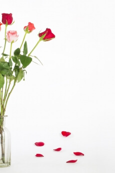 glass vase with fresh flowers against a white background