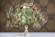 beautiful flowers in a glass vase