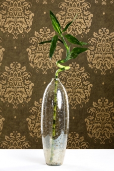 glass vase with fresh flowers