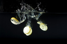 sliced lemons in water 