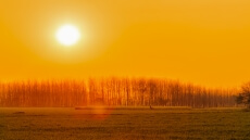 The Golden Sunset