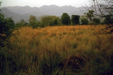 nature and mountains 
