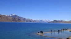 Pangong Tso Lake in Ladakh