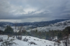 Snow Landscape